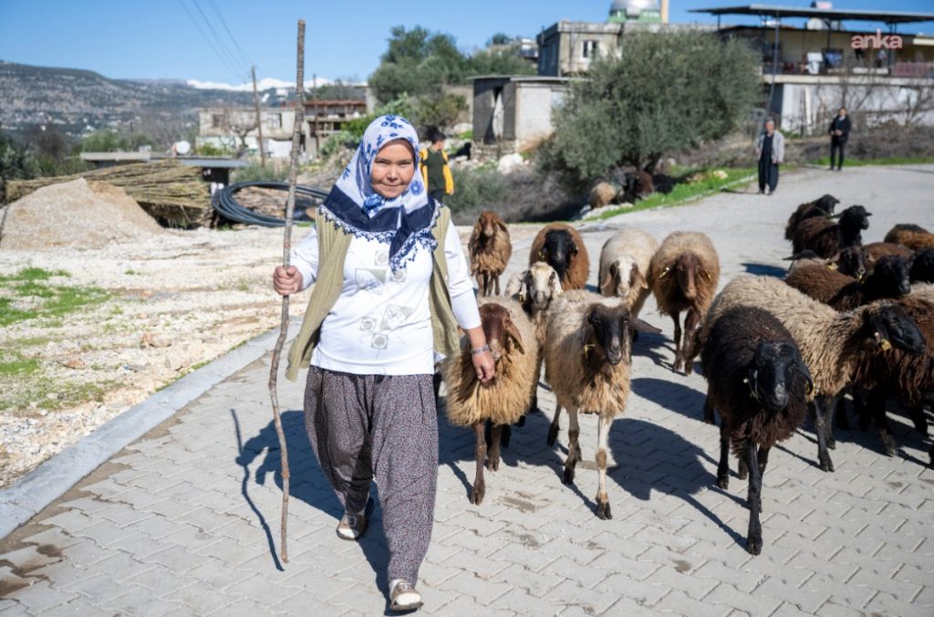 Mersin Büyükşehir Belediyesi’nin “Hadi Gel Köyümüze Destek Verelim” projesinden 7 yılda 360 yetiştirici faydalandı