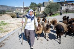 Mersin Büyükşehir Belediyesi’nin “Hadi Gel Köyümüze Destek Verelim” projesinden 7 yılda 360 yetiştirici faydalandı