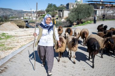 Mersin Büyükşehir Belediyesi’nin “Hadi Gel Köyümüze Destek Verelim” projesinden 7 yılda 360 yetiştirici faydalandı