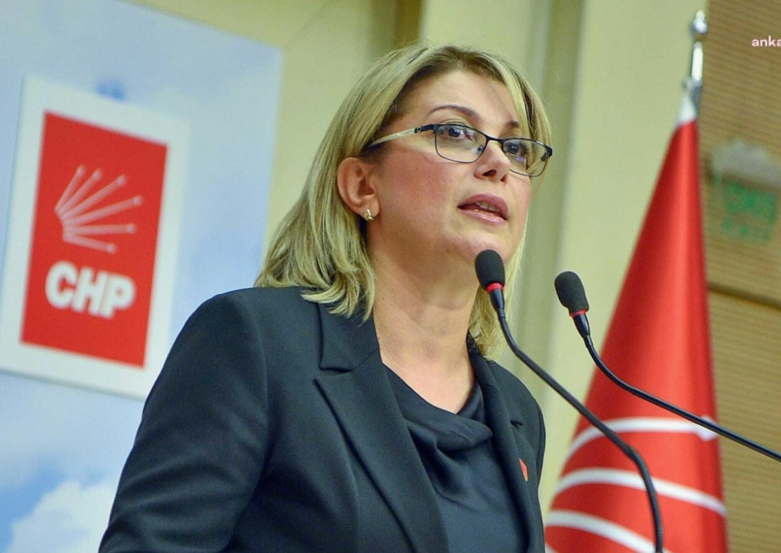 Asu Kaya: “AFAD Kadirli’de daha etkin bir çalışma yürütmeli”