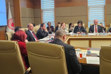 CHP'den kadınların iş hayatı öncesi annelik sürecinin askerlik gibi sigorta kapsamına alınması önerisi